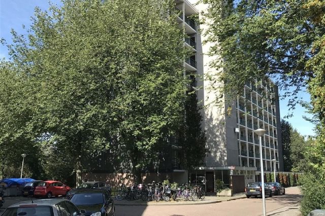 Amerbos 0, 1025 Amsterdam