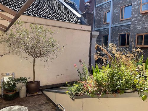 Schietbaanstraat, Rotterdam