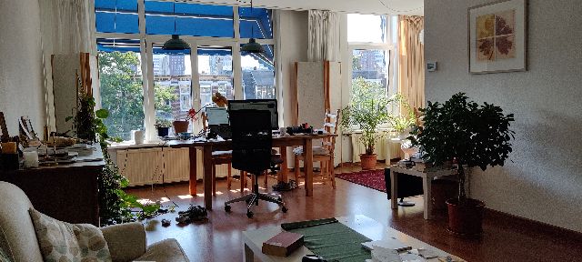 Laan van Nieuw-Oost-Indie, Den Haag