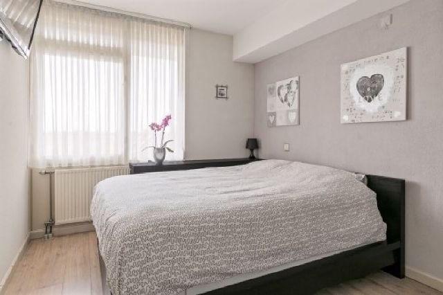 Bergpolderplein 0, 3051 GA Rotterdam
