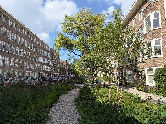 1079 JC Amsterdam (Rijnbuurt)