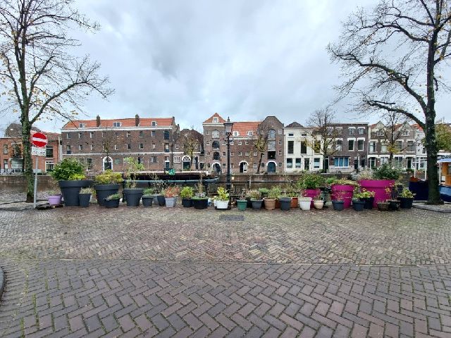 3111 BV Schiedam (Walvisbuurt)