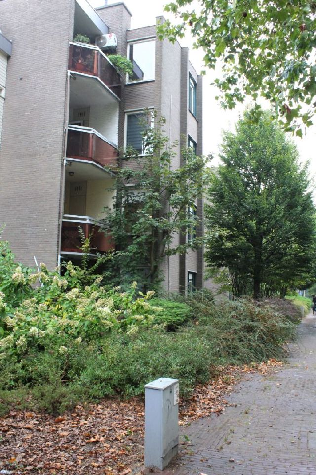 5501 HG Veldhoven (Cobbeek en Centrum)
