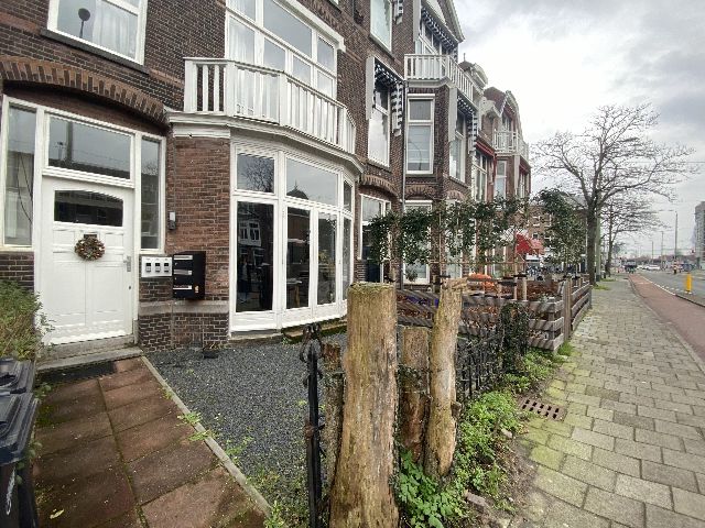 2593 CE Den Haag (Bezuidenhout-Oost)