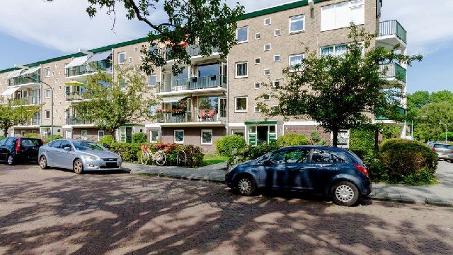 2024 JS Haarlem (Sinnevelt)