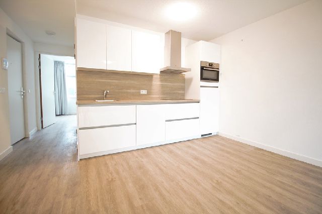 3572 LT Utrecht (Huizingalaan, K. Doormanlaan en omgeving)
