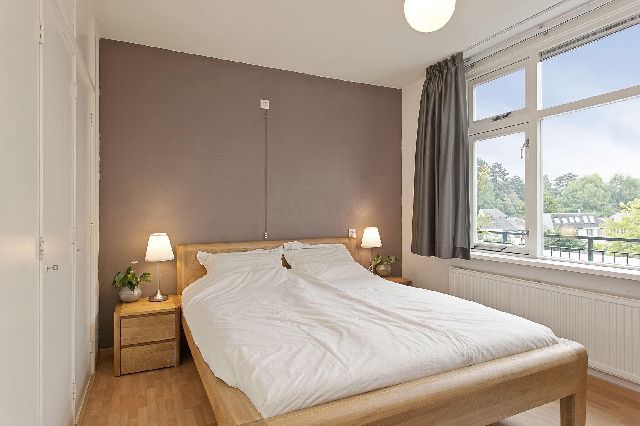 3582 GA Utrecht (L. Napoleonplantsoen en omgeving)