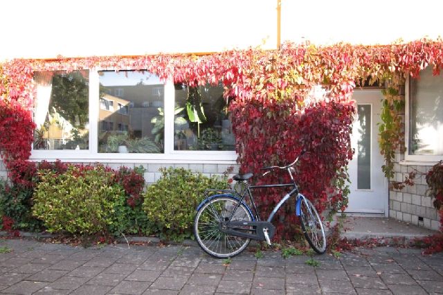 9713 ML Groningen (Bloemenbuurt)