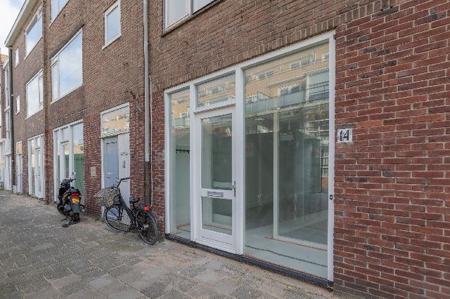 2025 DZ Haarlem (Schrijversbuurt)