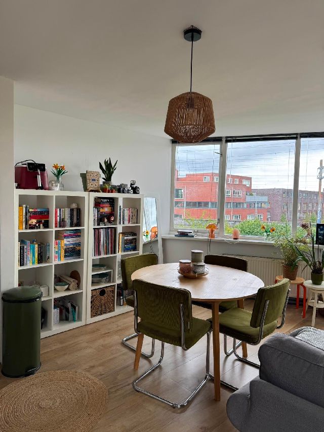 3551 SB Utrecht (2e Daalsebuurt en omgeving)