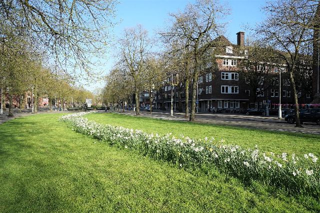 1077 AL Amsterdam (Apollobuurt)