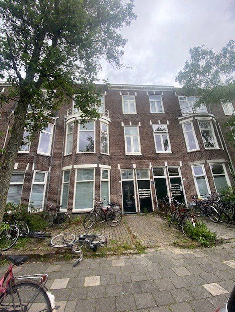 9717 KH Groningen (Noorderplantsoenbuurt)