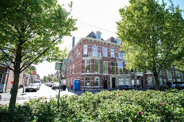 2517 HZ Den Haag (Stadhoudersplantsoen)