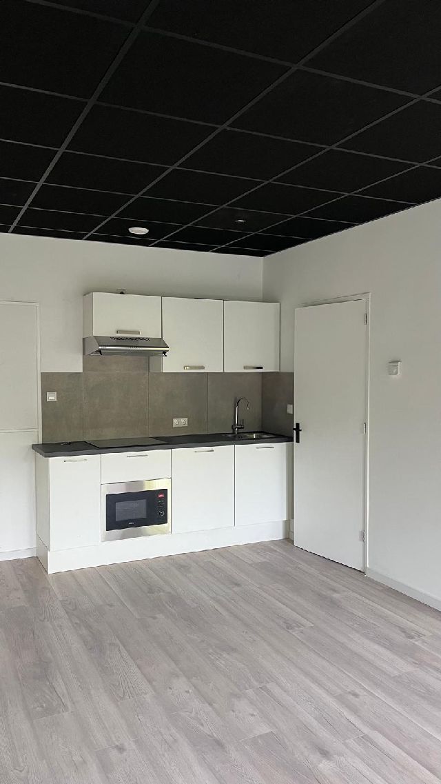 9728 PS Groningen (Hoornse Meer)