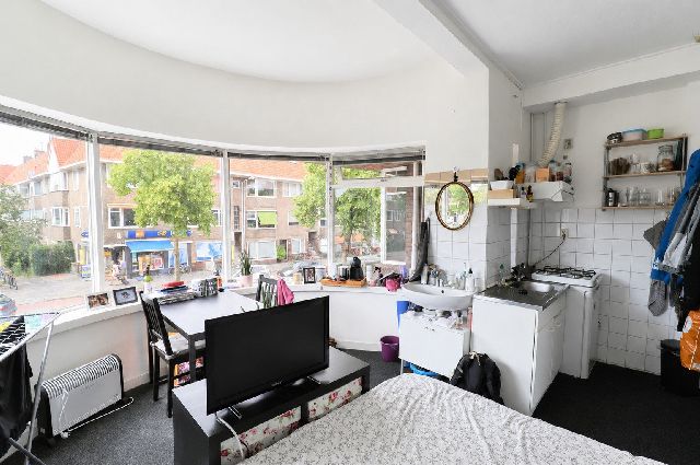 9714 AE Groningen (Professorenbuurt)