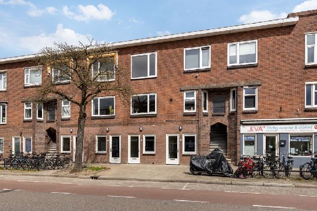 3531 JE Utrecht (Laan van Nieuw-Guinea, Spinozaweg e.o.)