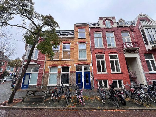 9718 GC Groningen (Schildersbuurt)