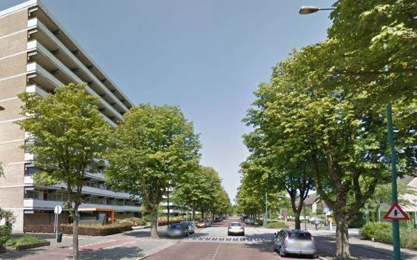2284 CX Rijswijk (Kleurenbuurt)