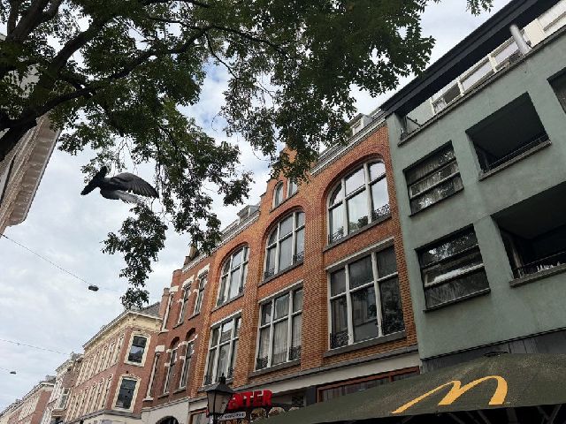 3012 JB Rotterdam (Cool)