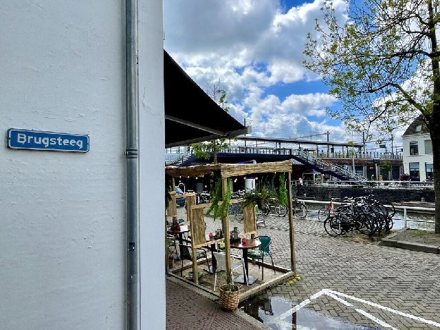 3582 AZ Utrecht (Watervogelbuurt)