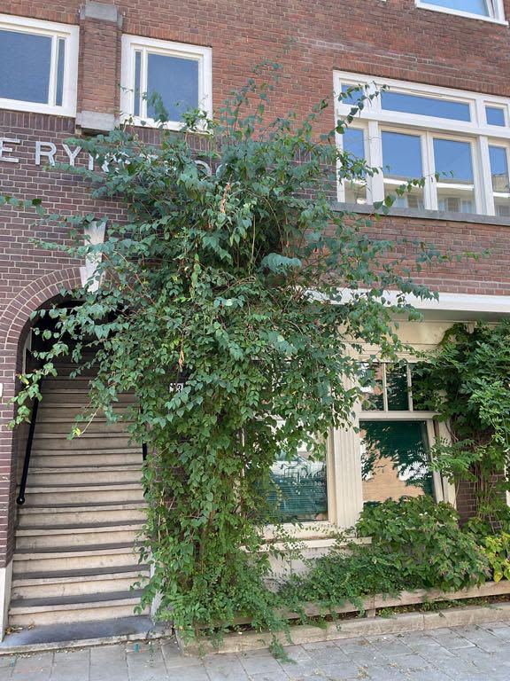 Lekstraat 23-1, 1079 EL Amsterdam, Netherlands
