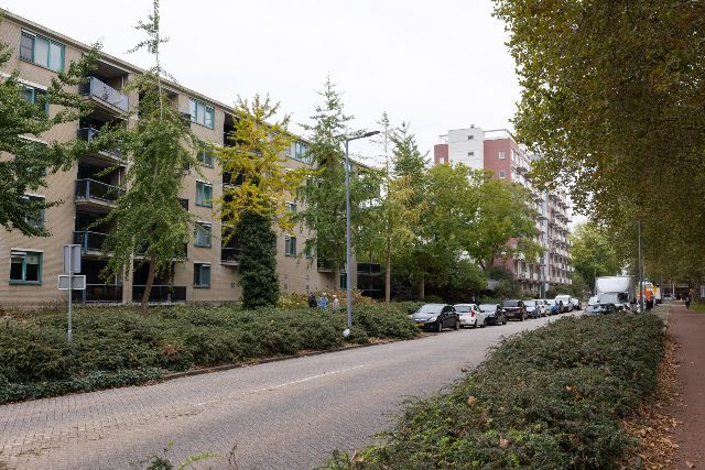 Rotterdam
