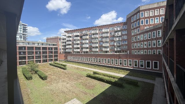 Schiedam