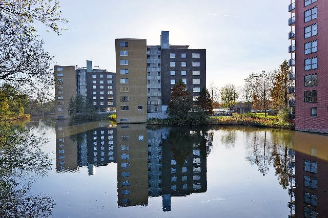 Borgloonstraat 49, Amsterdam