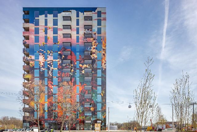 Flores, Almere