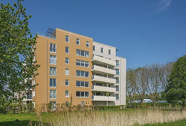 Hermelijnvlinder 277 Diemen