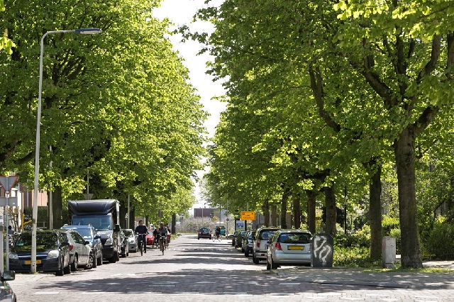 Van Oldenbarneveldtstraat, 6828 ZN Arnhem