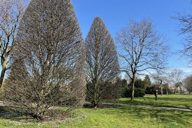Burgemeester Feithplein 234, Voorburg, VOORBURG